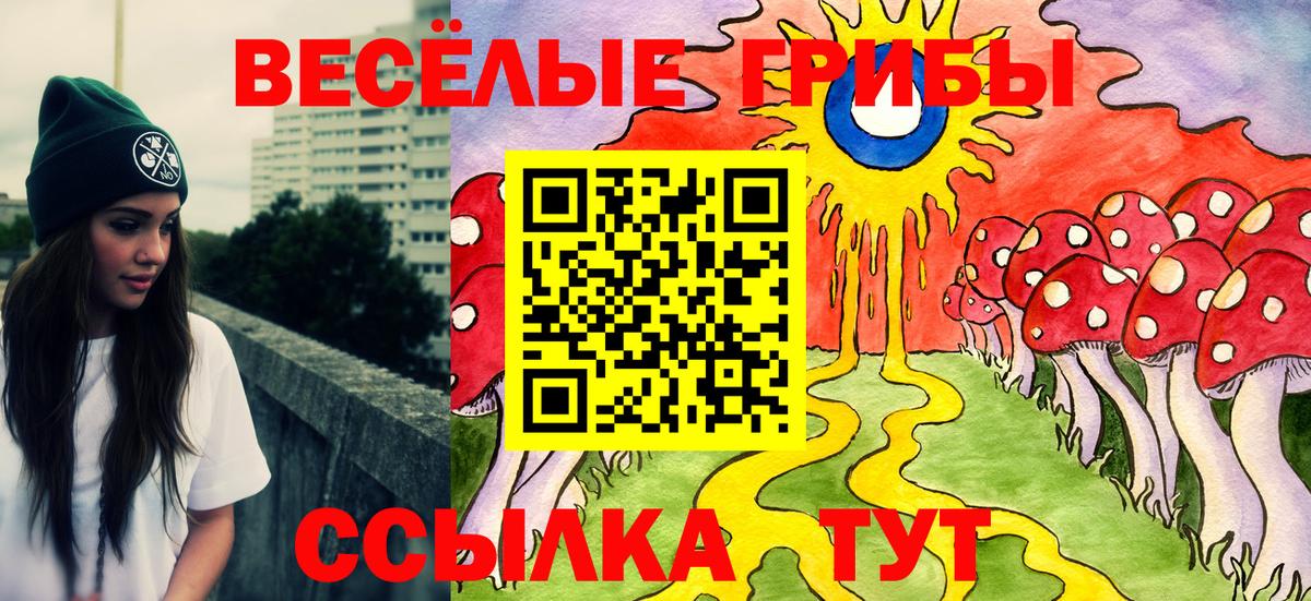 Псилоцибиновые грибы мицелий  Вход с VPN  Галлюциногенные грибы прущие грибы  Нурлат 